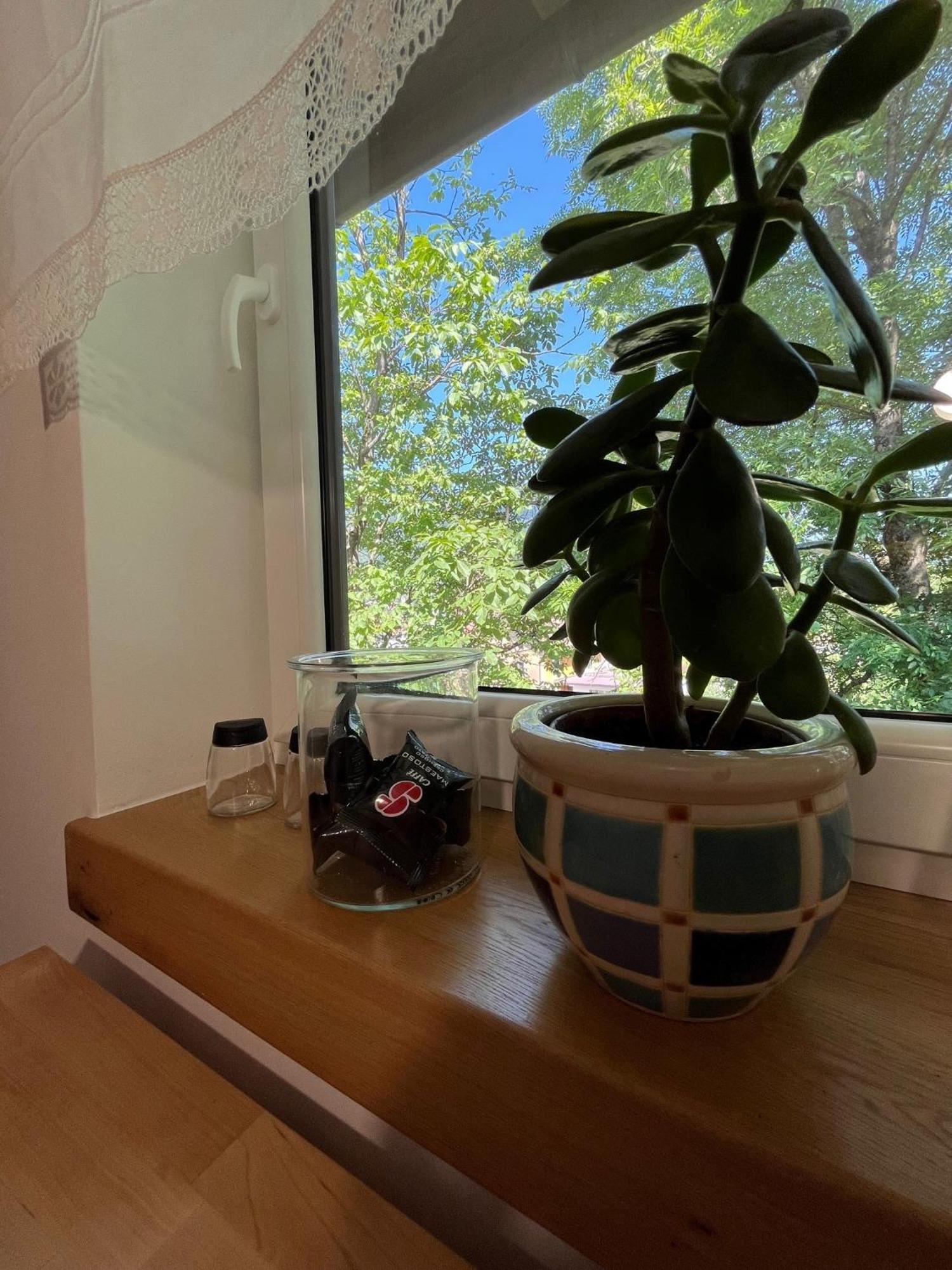 Azimut Hisa Apartment Tolmin Luaran gambar